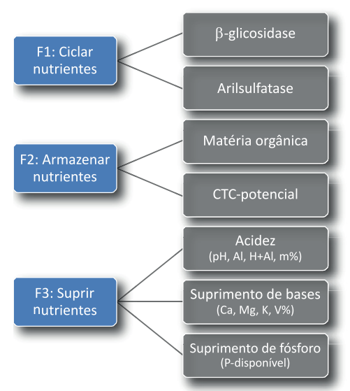 quadros indicando exemplos de componentes de cada um dos índices de qualidade do solo