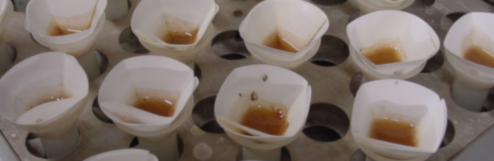 Imagem do processo de filtraçao de diversas amostras de solo